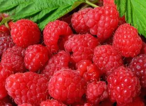 Raspberries