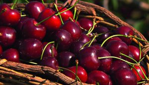 Cherries